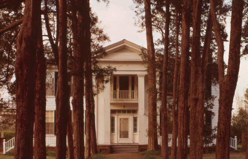 Rowan Oak