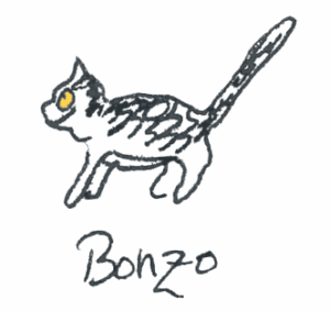 Bonzo