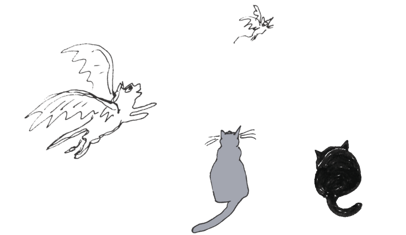 Cat flight