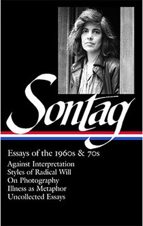 susan sontag's essay disparages panofsky because