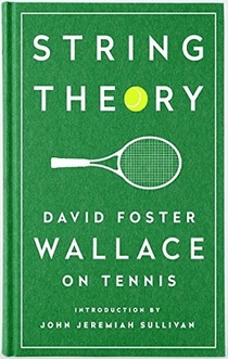 david foster wallace michael joyce essay