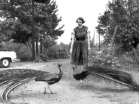 Flannery O'Connor