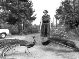 Flannery O'Connor